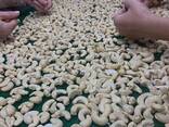 Cashew Nuts from Vietnam