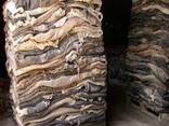 Dry Salted Cow Hides /Dry Salted Cow Skins - photo 1