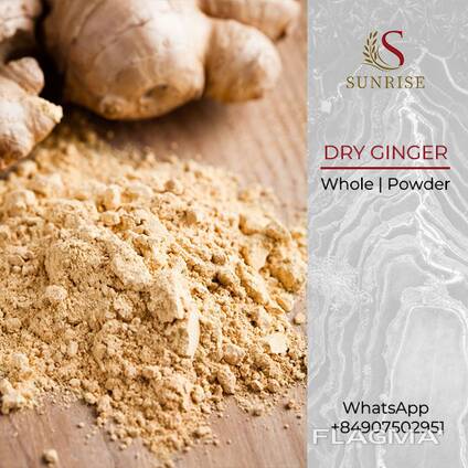 Dry Whole Ginger from Vietnam