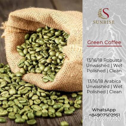 Green coffee Robusta and Arabica from Vietnam