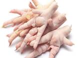 High Quality Chicken Paws/Wholesale Frozen Chicken Feet for Sale at Best Price - фото 1