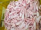 High Quality Chicken Paws/Wholesale Frozen Chicken Feet for Sale at Best Price - фото 2