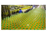 New refined sunflower cooking oil/sunflower oil Origin Readily Available - фото 1