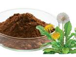 Premium 10:1 Mushroom Extracts &amp; Adaptogen Roots (Small B2B) - фото 2