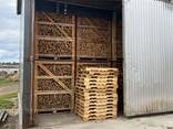 Premium Kiln Dried Birch Logs - фото 1