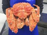 Red King Crab - фото 1