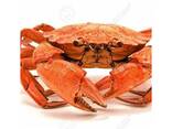 Red King Crab - фото 5
