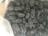 Сухофрукты орехи курага изюм арахис из Узбекистана - фото 2