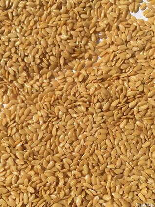 We offer our harvest of 2018: golden flax and confectionery
