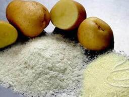 ベラルーシで生産された馬鈴薯澱粉